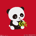 小小熊猫